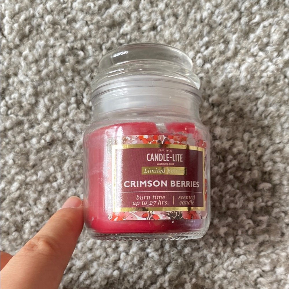 LIGHTLY USED Candle-Lite Crimson Berries Small Candle (one wick)